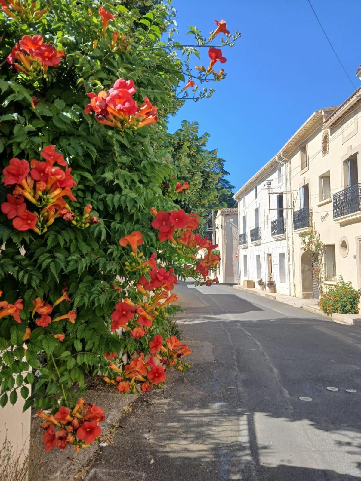 L'Oostaloo Logement De Vacances Usclas-l'Herault Esterno foto