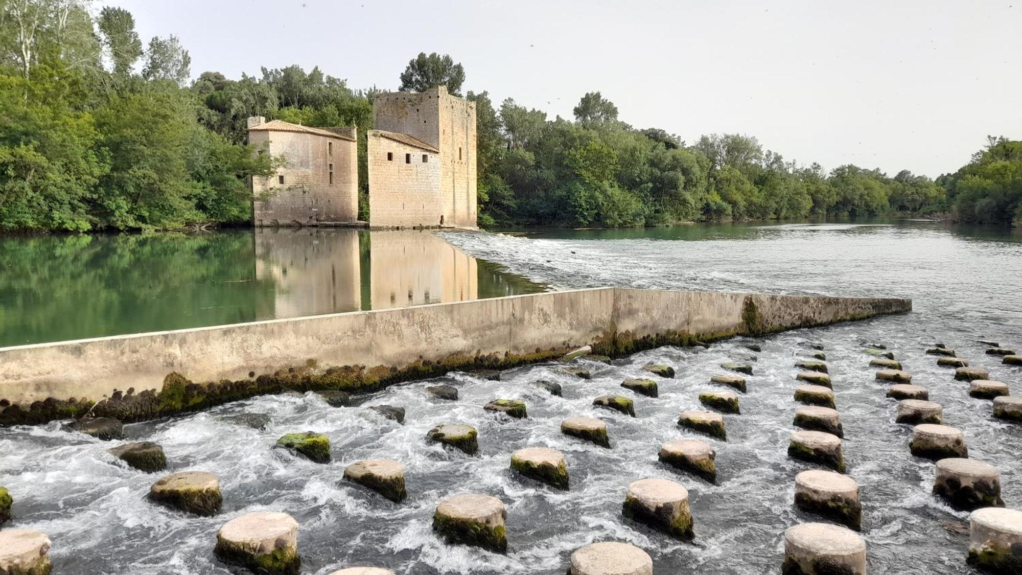 L'Oostaloo Logement De Vacances Usclas-l'Herault Esterno foto